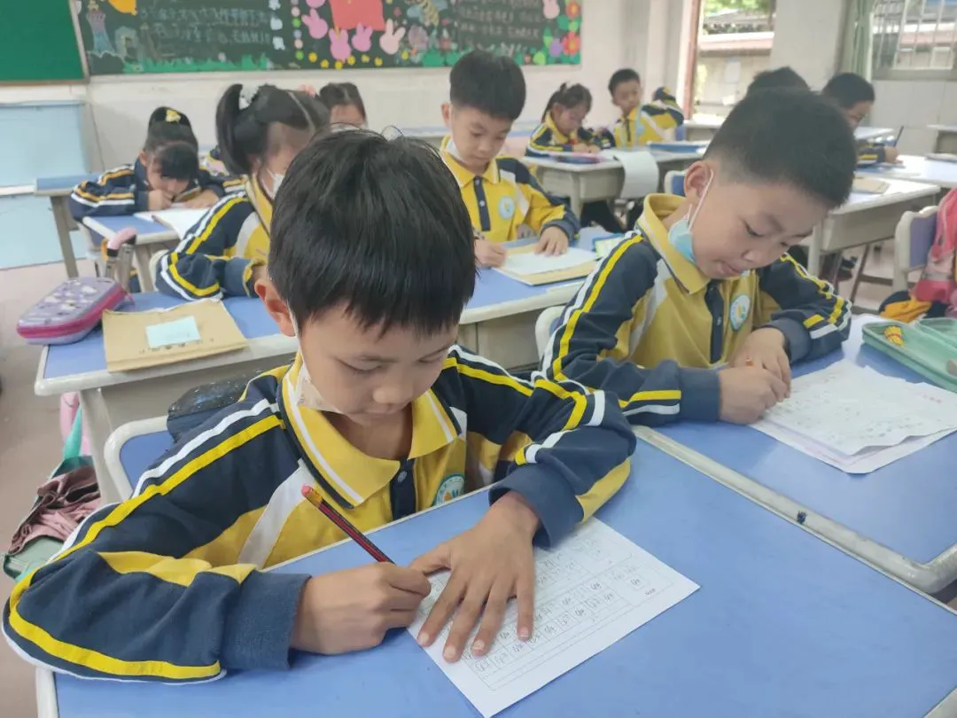 如何选择适合篮球康复训练的器材_2